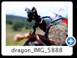 dragon_IMG_5888