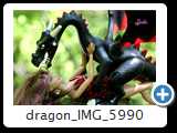 dragon_IMG_5990