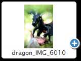 dragon_IMG_6010