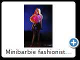 Minibarbie fashionistas 2013 (3590)