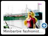 Minibarbie fashionistas 2014 (3871)