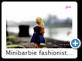 Minibarbie fashionistas 2014 (3879)
