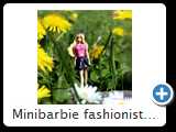 Minibarbie fashionistas 2014 (5250)