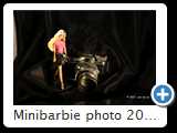 Minibarbie photo 2012 (3776)