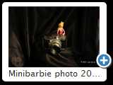 Minibarbie photo 2012 (3798)