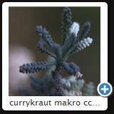 currykraut makro ccw 2010 31