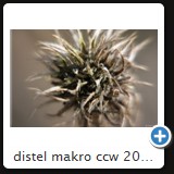 distel makro ccw 2010 41