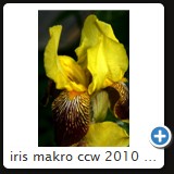 iris makro ccw 2010 13