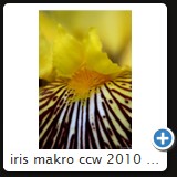 iris makro ccw 2010 15