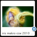 iris makro ccw 2010 20
