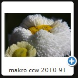 makro ccw 2010 91