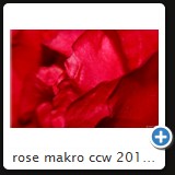 rose makro ccw 2010 0851