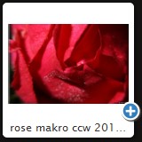 rose makro ccw 2010 09