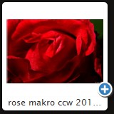 rose makro ccw 2010 13