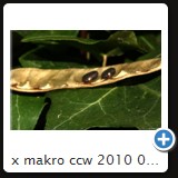 x makro ccw 2010 0101