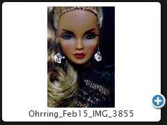 Ohrring_Feb15_IMG_3855