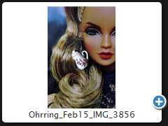 Ohrring_Feb15_IMG_3856