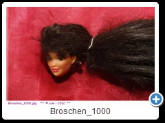 Broschen_1000