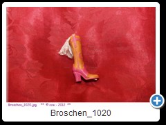 Broschen_1020