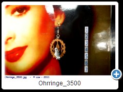 Ohrringe_3500