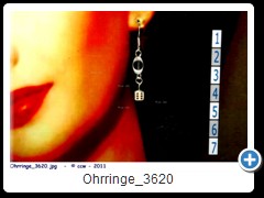 Ohrringe_3620