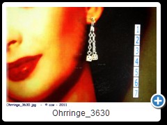 Ohrringe_3630