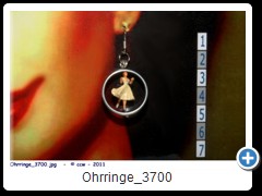 Ohrringe_3700