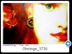 Ohrringe_3730