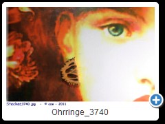 Ohrringe_3740