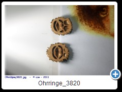 Ohrringe_3820
